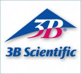 3B Scientific